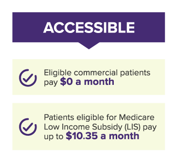 accessible graphic